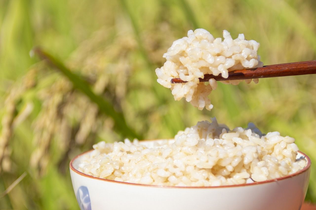 玄米はどうすればおいしく炊ける？土鍋や炊飯器を使った方法を紹介