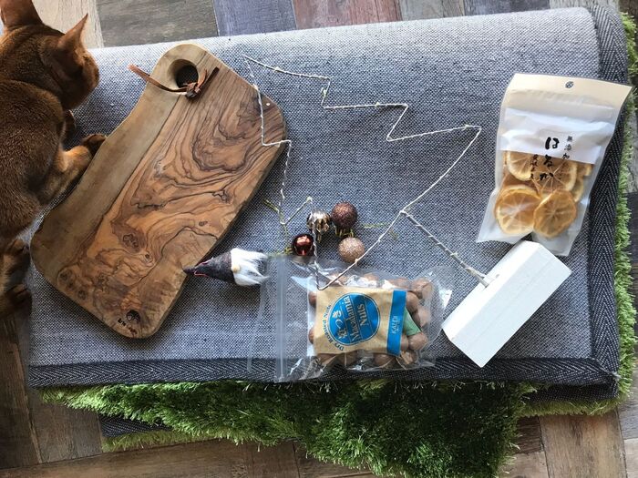 用意した小道具たち