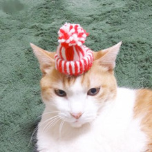 編まずに作れる!?ミニミニニット帽