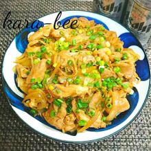 ご飯に乗せて丼も◎良妻風♪野菜たっぷり鶏もやしの生姜焼き