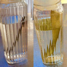 【知育レシピ】冷蔵庫にはいつも昆布水