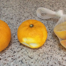 【知育レシピ】柚子の香りで頭がスッキリ❗️