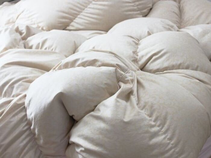 寿命は値段よりも中身で決まる?不要になった羽毛布団の正しい捨て方