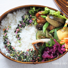 おしゃ弁①<ふりかけアート>