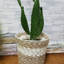 キャンドゥのワイヤーごみ箱に通すだけ!プランターカバーにリメイク