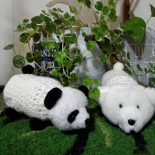 余りものでシャカシャカ!音を楽しむおもちゃをハンドメイド