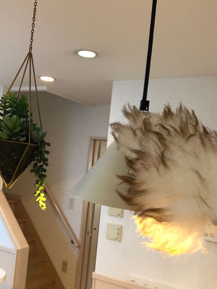どこの掃除をするのか