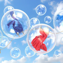 ここで差がつく! 洗濯ネットの使い方