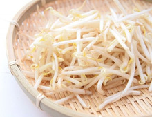 もやしの調理はレンチンがおすすめ!ベストな加熱時間や保存方法は?