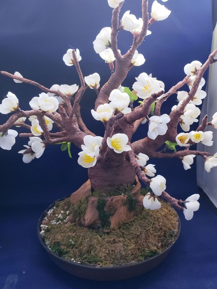 4、その他の花を付けて月毎に楽しむ。