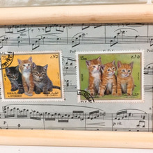 100均フォトフレームアレンジ 子猫のワルツ