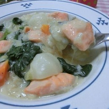 ルゥもホワイトソースも不要!  鮭とほうれん草のとろろシチュー