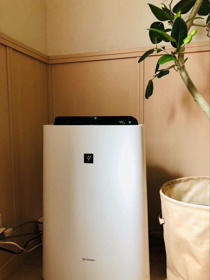 ボックスに入れたけど、空気清浄機でも隠してみる。