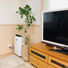 テレビ周りのコード問題!コツなし!視覚的に隠すだけでスッキリ感♪