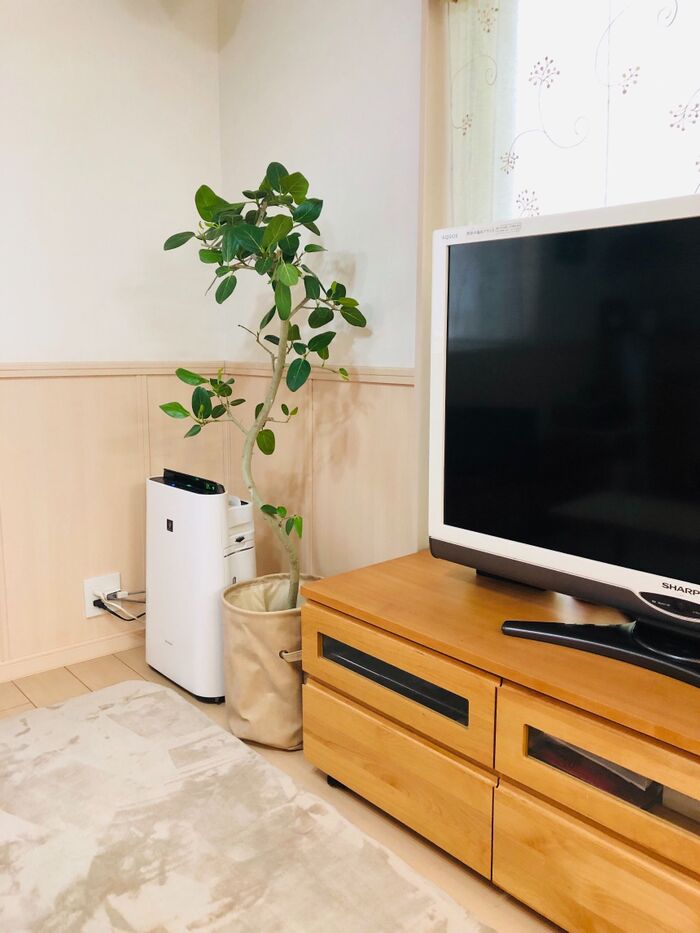 テレビ周りのコード問題!コツなし!視覚的に隠すだけでスッキリ感♪