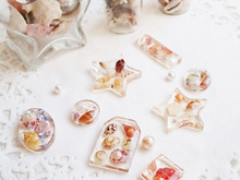 海辺で集めた貝殻でつくる♪可愛いインテリア雑貨&アクセサリー