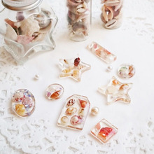 海辺で集めた貝殻でつくる♪可愛いインテリア雑貨&アクセサリー