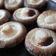 栽培キットで育てた椎茸☆ フライパンで美味シンプル焼き♪