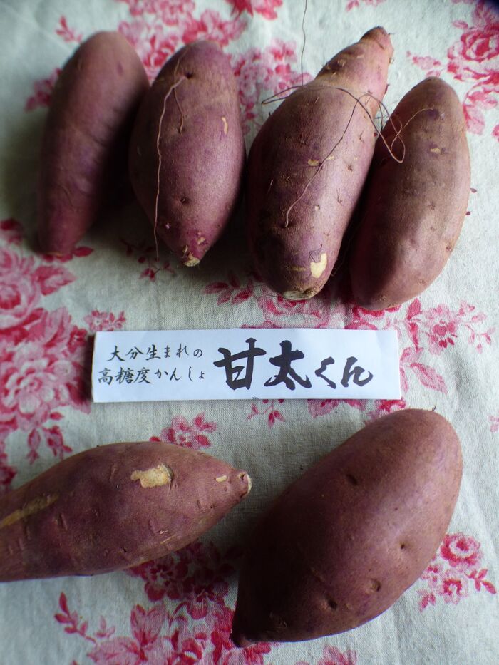 おすすめ品種は・・・