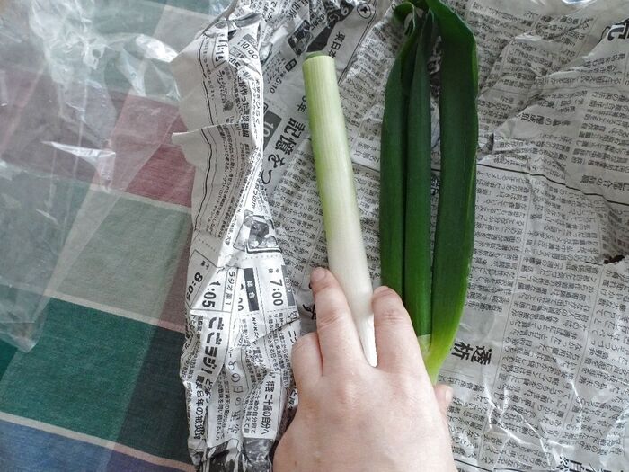 野菜に最適な保存法をすると・・・