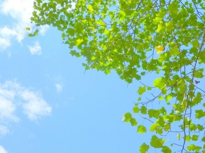 GWをあなたらしく楽しむためには?