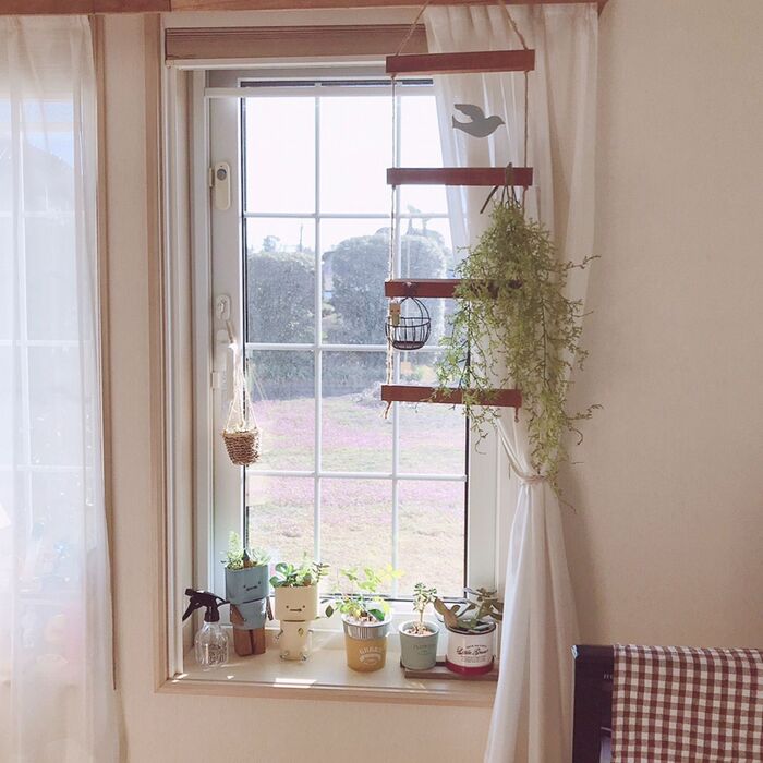 グリーンやお花をまとめて飾って春インテリア♪