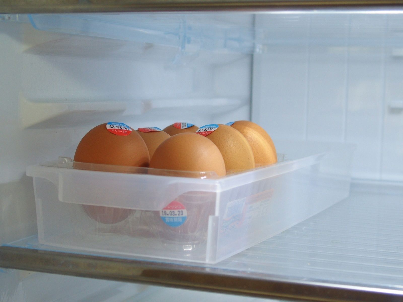 冷蔵庫には「透明」or「半透明」がオススメ
