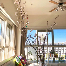 自分にご褒美時間。季節のテーブルコーディネート