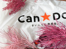 百均❤生花よりも映える!❤フェイクグリーン 【 #キャンドゥ 】