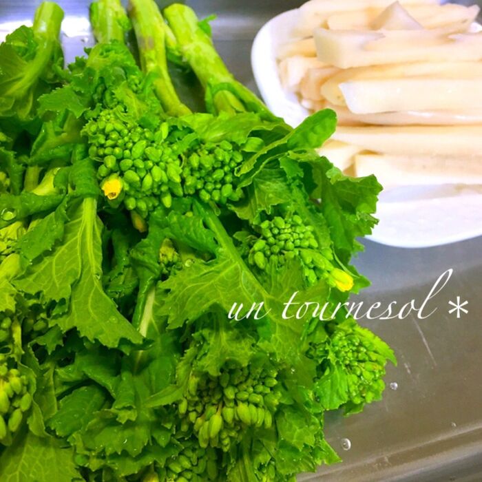 ①菜の花とレンコンの長さは合わせて!