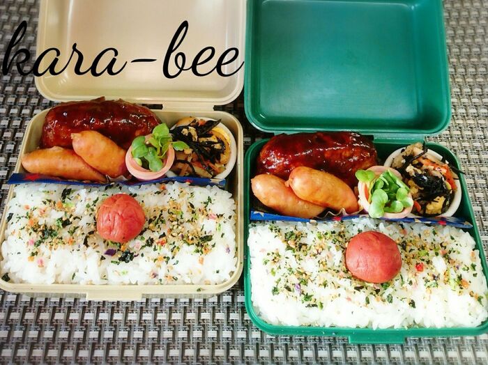 母とムスコのラブラブおソロ♡煮込みハンバーグ弁当