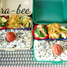 母とムスコのラブラブおソロ♡今日から6年生♪大好きな南蛮漬け弁当