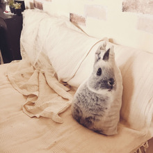 布団ソファーをマルチカバーで模様替えした話。