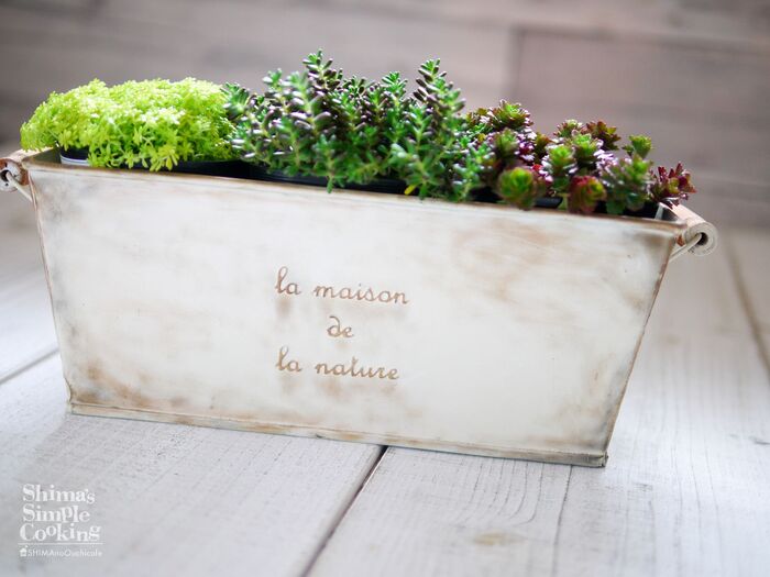 超簡単!【ジャンクリメイク】 グリーンアレンジ サビリメイクで風合いプラス