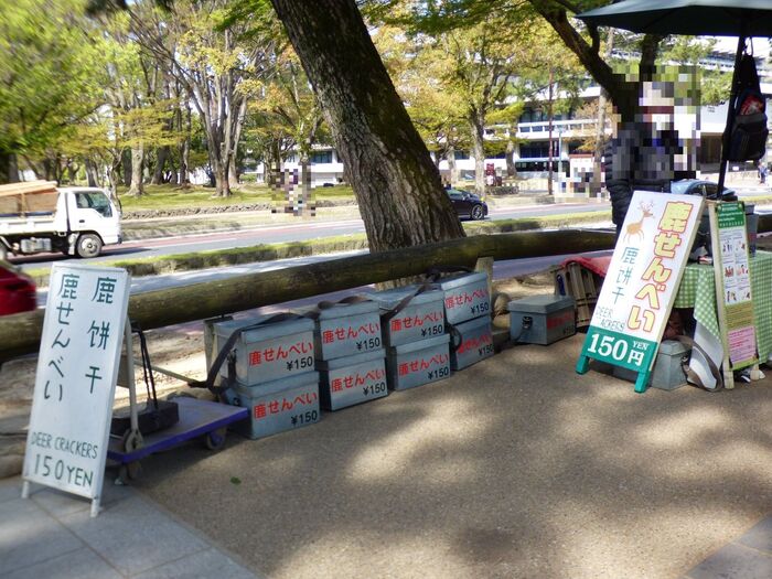 鹿せんべいとは・・