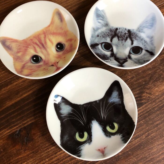 にゃんこ好きにはたまらないっ!セリアのプチプラ豆皿