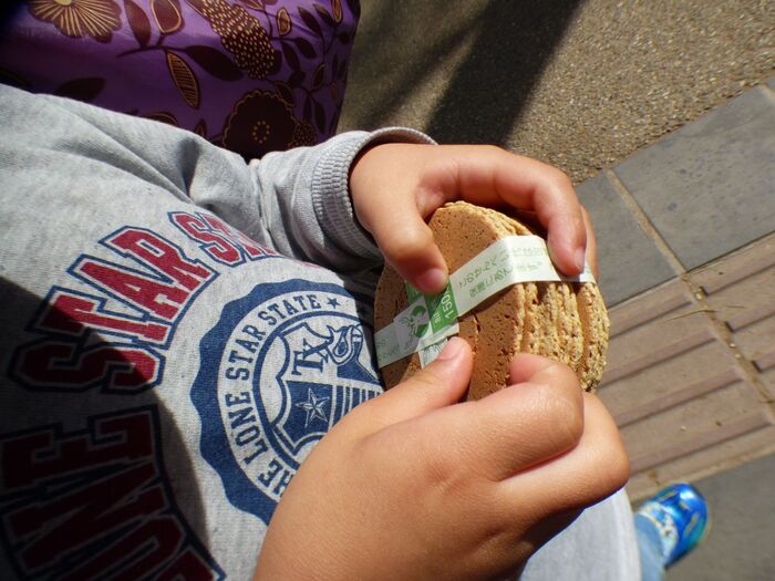 鹿にエサをあげるポイント!!