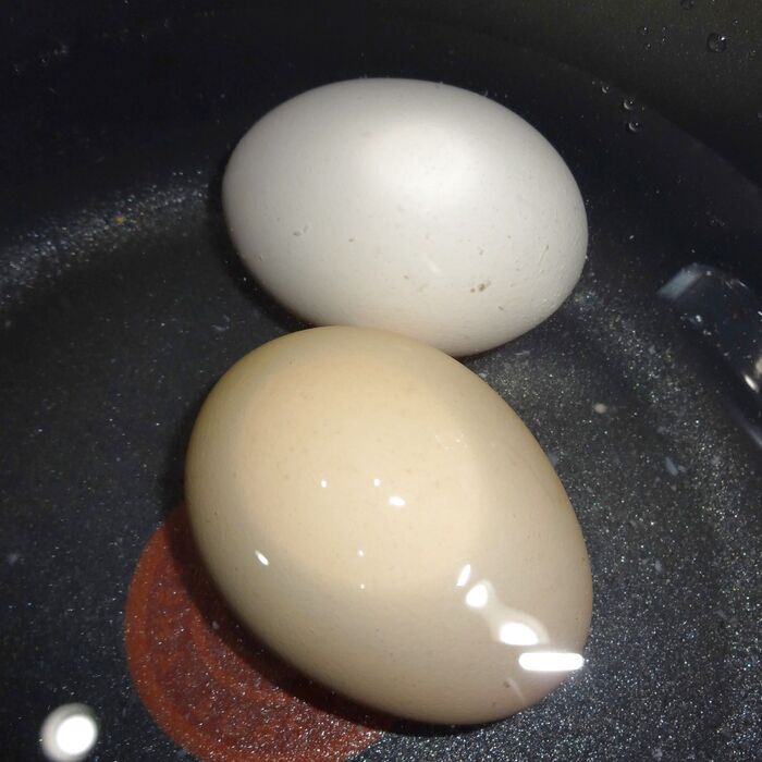 温玉づくり➡豚肉しゃぶしゃぶ