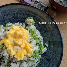 たまごと大根葉の彩りごはん