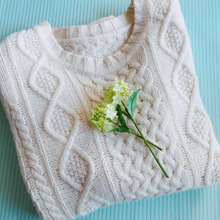 衣替えに使えるアプリ「これ洗える?」が超便利♪