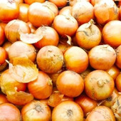 もしかして間違ってない?意外と知らない玉ねぎの正しい保存方法