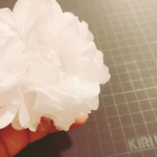 ペパナフラワーを作ろう。基本編