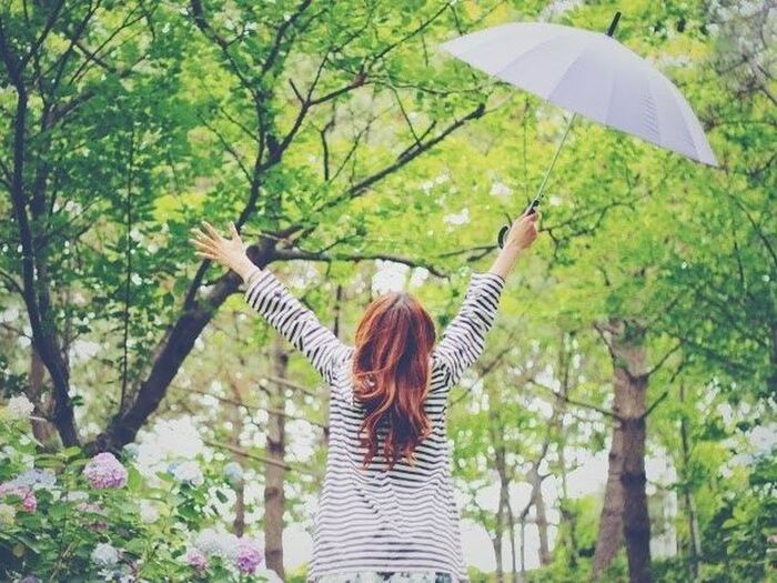 【梅雨の季節】お金をかけずに快適に過ごすには?
