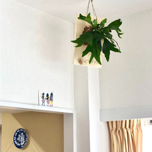 思っていたより簡単でした♪観葉植物の板付け