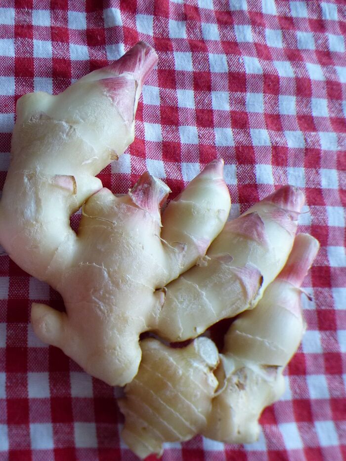 立派な新生姜を見つけました♡