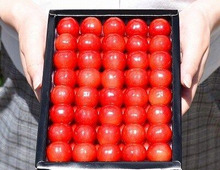 特集 ステキなアイデアを暮らしニスタ編集部でまとめさせて頂きました。