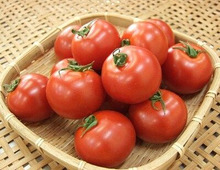 【2019】美味しいふるさと納税の返礼品!各地の味を丸かじりできる人気トマトランキング