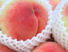 【2019】甘くてジューシー！旬の桃を味わおう！ふるさと納税の人気ランキング・トップ10