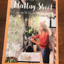 写真映えに欠かせないフラットレイシート