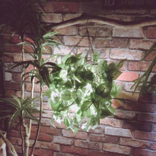 【ALLダイソー】工具不要!10分で出来ちゃうオシャレなグリーンライト